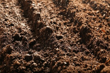 Texture of fresh soil as background, closeup