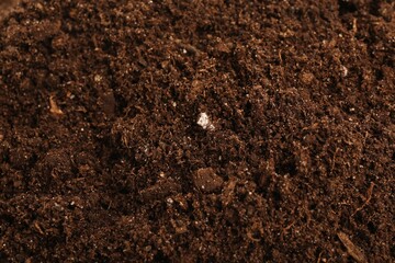 Texture of fresh soil as background, closeup