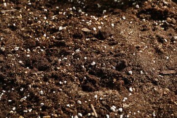 Texture of fresh soil as background, closeup