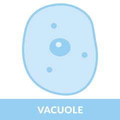 Vacuole Structure Design vector illustration