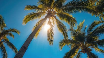 Obraz premium Sunlight Filters Through Palm Tree Leaves Against Clear Blue Sky Creating A Tropical Paradise Atmosphere