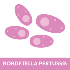 bordetella pertussis design vector illustration