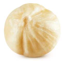 Hazelnut isolated on white background