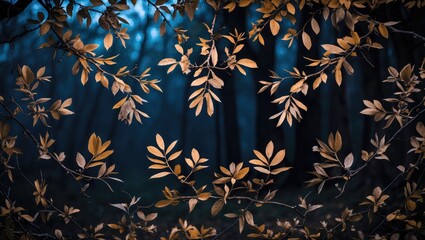 Elegant Tree Branches Framed by Leaves Against a Dark Background Ideal for Nature Inspired Wallpaper or Forest Themed Designs.