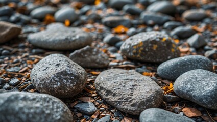 Close-up view of various textured stones on the ground surrounded by small pebbles and fallen leaves in a natural outdoor setting.