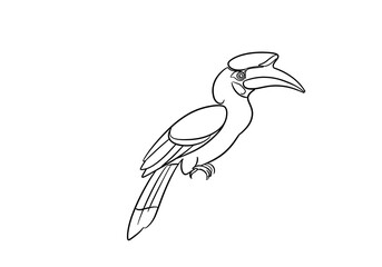 Fototapeta premium Hornbill Outline Drawing of Exotic Bird with Unique Beak Shape