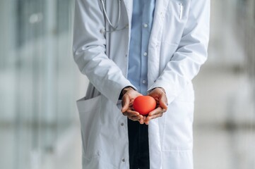 Little heart, cardiologist. Close up view of doctor in coat indoors