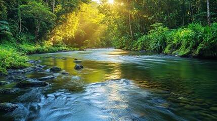 Obraz premium A River Flowing Through a Lush Green Forest with Sunlight Filtering Through the Trees, Creating a Peaceful and Natural Scene with a Focus on Water Movement and Vegetation.