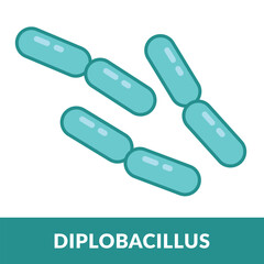 Morphology Diplobacillus Shape Illustration