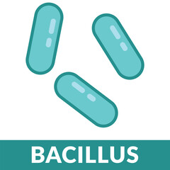 Morphology Single Bacillus Shape Illustration
