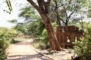 インド　ニューデリー　歴史公園