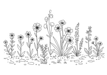 Doodle Wildflower Field Line Art Illustration of Meadow Plants on White