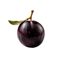 One_Damson_fruit_with_white_background