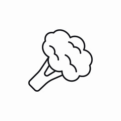 cauliflower icon vector sign
