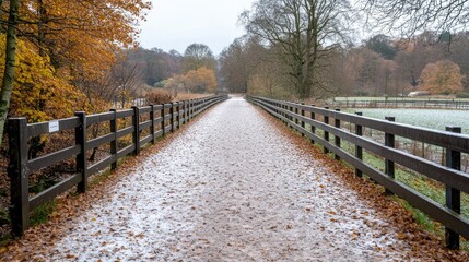 Fototapeta premium Frosty autumn path, rural landscape, morning walk
