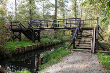 Hiking path in Spreewald, Germany