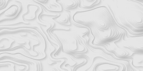 Abstract white paper cut background with lines. Background of the topographic map. White wave paper curved reliefs abstract background. Realistic papercut decoration textured with wavy layers.