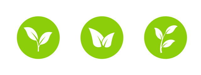 A minimalistic green leaf icon with clean lines, symbolizing sustainability, eco friendly lifestyles, and organic agriculture, ideal for environmental logos and health conscious products.