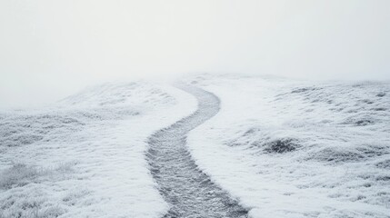 Obraz premium Winding winter path: abstract adventure through frosted landscape 