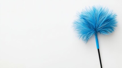 Fluffy duster turquoise feathers on white top view 