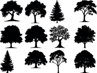 Tree bundle design vectors