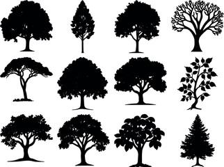 Tree bundle design vectors