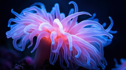 Glowing Sea Anemone in Dark Ocean Depths