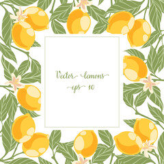 Frame of lemon branches for decorating. Doodle wreath of design invitation and menu and books.