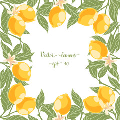 Wreath of lemon branches for decorating. Doodle wreath of design invitation and menu and books.