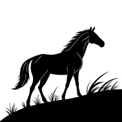 Black horse eating grass on line art