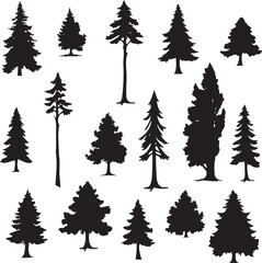 set of vector coniferous trees, black and white illustration, trees silhouettes isolated on white background