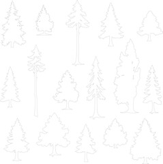 set of vector coniferous trees illustration, trees collection outline sketch isolated on white background