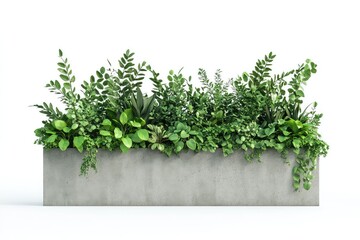 Fototapeta premium A monochromatic 3D illustration of concrete planters with lush green foliage, isolated on a simple white background.