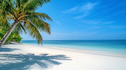 Obraz premium Beautiful beach with white sand and palm trees on the left side of the frame. The blue sky is clear, and there's a calm sea in front of it