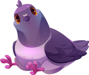 Cute Pigeon
