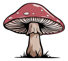 illustration of a mushroom or fly agaric mushroom without background