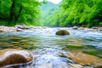 Rushing Water in a Scenic River