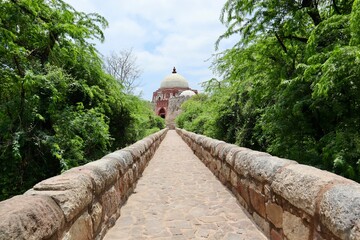 インド　ニューデリー　トゥルガーバード　公園