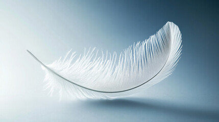 Obraz premium A delicate feather floating effortlessly in mid-air, caught in a gentle breeze