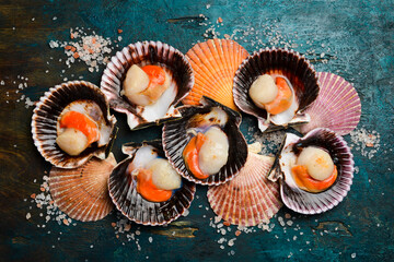Shellfish, raw fresh scallops on a turquoise stone background. Seafood concepts.