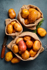Raw fresh organic potatoes in a bag. On a gray textured background. Vertical photo.
