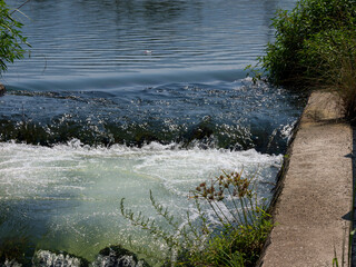 大阪府富田林市を流れる石川の魚道