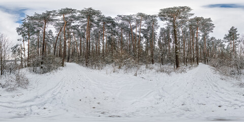 winter full spherical hdri 360 panorama view pedestrian road in snowy forest in equirectangular projection. VR AR content