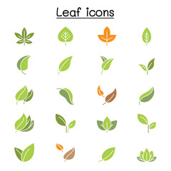 Leaf icon set in thin line style