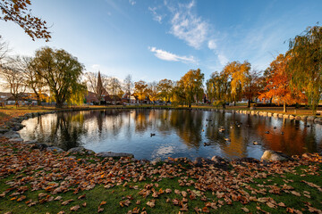 Petersdorf auf Fehmarn im Herbst mit leuchtenden Herbstfarben