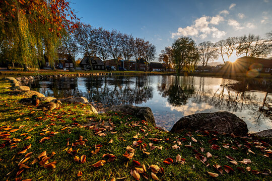 Petersdorf auf Fehmarn im Herbst mit leuchtenden Herbstfarben