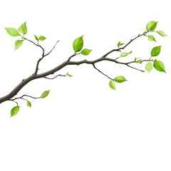 Obraz premium green leaves background
