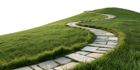 grassy hill with a path isolated on a white background png