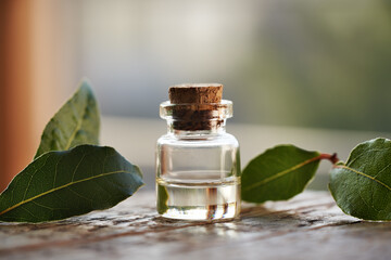 A bottle of aromatherapy essential oil with fresh bay leaf on a table