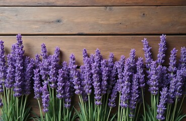 Naklejka premium Aromatic lavender flowers on rustic wood background. Purple floral composition evokes natural serene beauty. Fresh vibrant plants, organic blossoms, herbal fragrance for decoration. Botany,